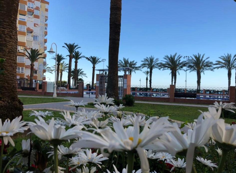 Bow Sea Apartment Algarrobo Costa Extérieur photo